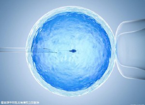 张明华 院长